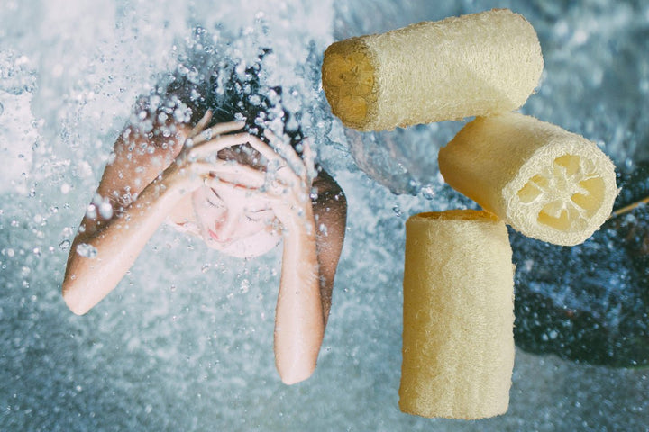 De top 10 voordelen van het gebruik van een natuurlijke organische loofah voor je dagelijkse douche - Elicious