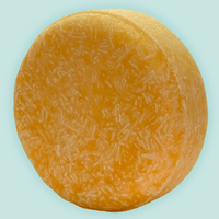 Shampoobar Honey Rebel - Gekleurd haar - Elicious