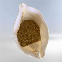 Bulkzakje van organisch katoen met kijkvenster, zero waste, klein formaat -Elicious