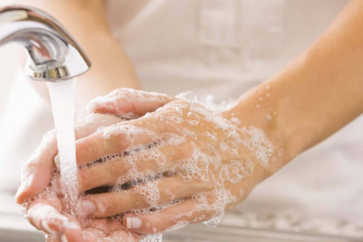 Natuurlijke zeep of vloeibare zeep? Wat is het schoonst? – Elicious